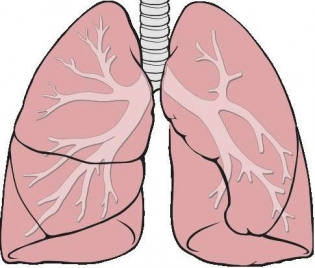 Белодробни проблеми : Белодробната болест често се бърка с астма - ХОББ, астма, хронична, белодробна, болест