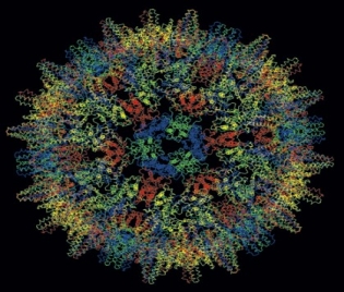 Хепатит : Коварният хепатит - цироза, рак, д-р Анелия Гоцева, черен дроб, хроничен, А, тип „В”, „Делта”,„С”, вирусни, хепасейв, венозни