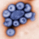 Детето, разболяло се от H1N1, ще бъде изписано от болница - 