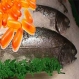 Рибеното масло помага при артрит - 