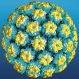 HPV-тестове на половин цена - 