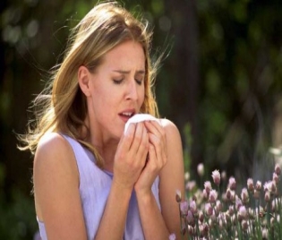 Сенна  хрема : Алергичният ринит изисква специфично лечение - здраве, хрема, ринит, алергия, алергодил, сенна хрема, целогодишен ринит, сърбеж